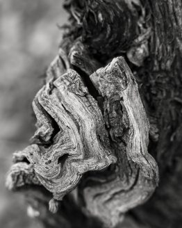 Tirage photographique d'art